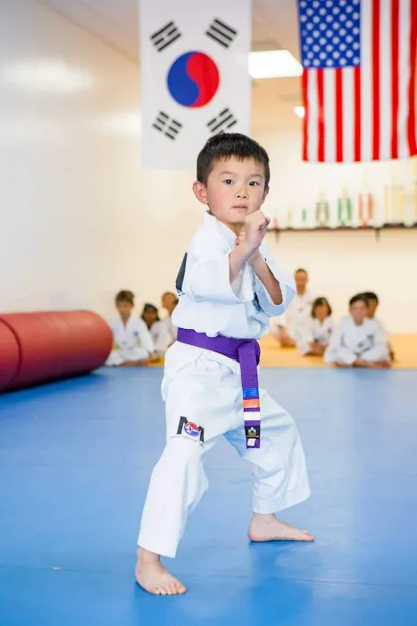 Champion Taekwondo Academy Picture 8