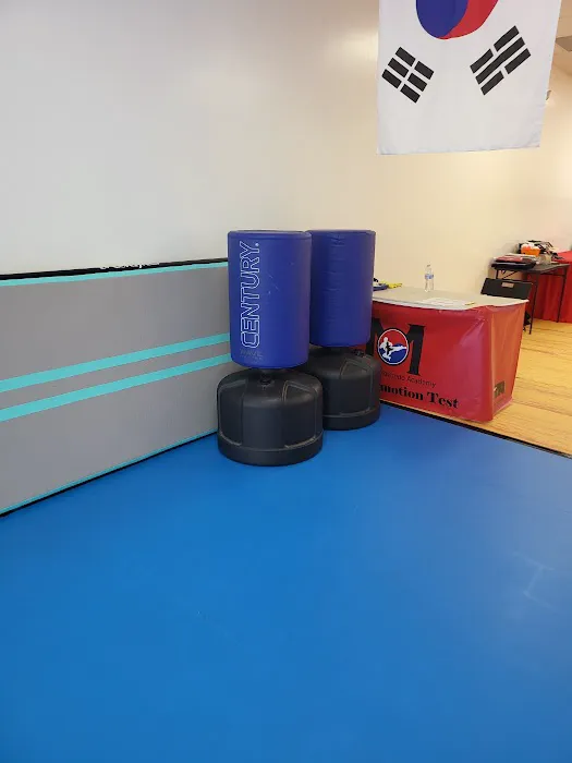 Champion Taekwondo Academy Picture 7