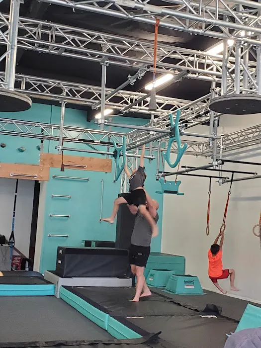 NinjAcademy Picture 1