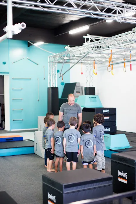 NinjAcademy Picture 4