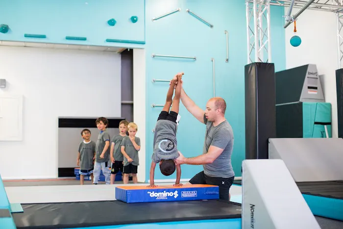 NinjAcademy Picture 8