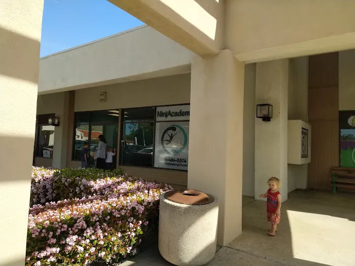 NinjAcademy Picture 7