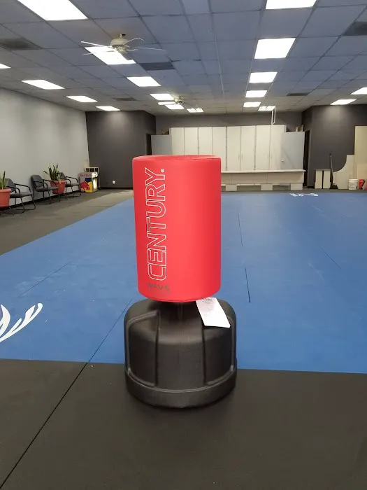 USK TAE KWON DO ELSINORE Picture 4