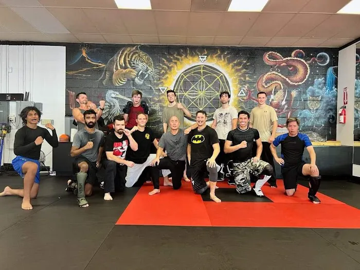 United Self Defense Academy - Rancho Santa Margarita Picture 2