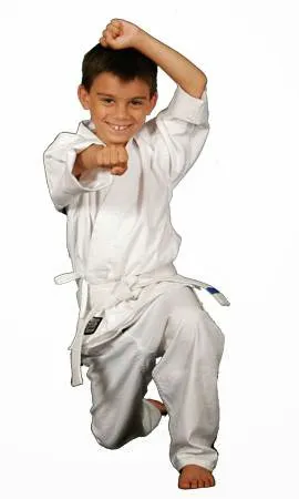 Orange County School of Martial Arts - OCKicks Picture 5