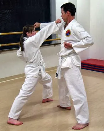 Orange County School of Martial Arts - OCKicks Picture 4