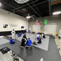 Evolve Checkmat Jiu Jitsu / Muay Thai Academy ico