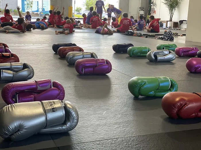 Evolve Checkmat Jiu Jitsu / Muay Thai Academy Picture 2