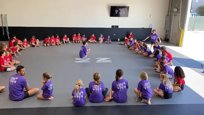 Evolve Checkmat Jiu Jitsu / Muay Thai Academy Picture 10
