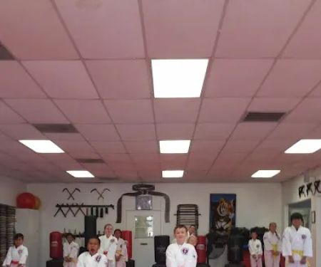 Little Tiger's Tang Soo DO