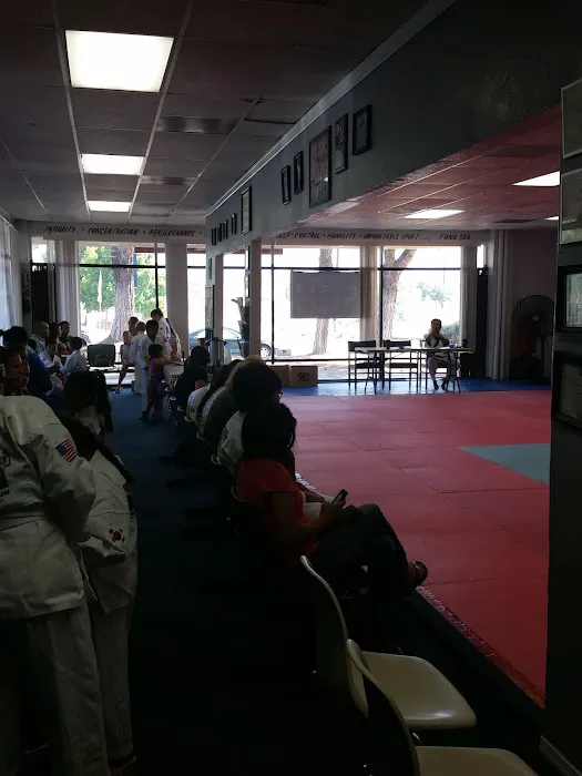 Little Tiger's Tang Soo DO Picture 3