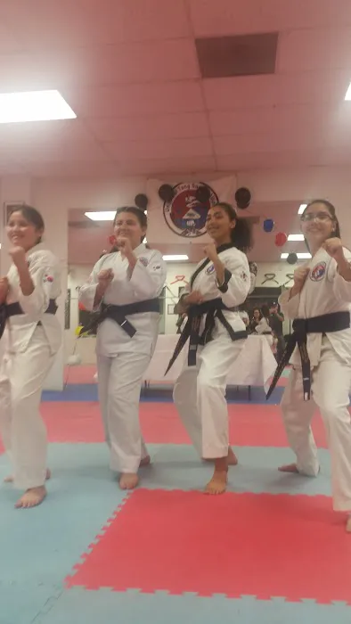 Little Tiger's Tang Soo DO Picture 4