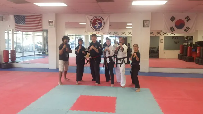 Little Tiger's Tang Soo DO Picture 6