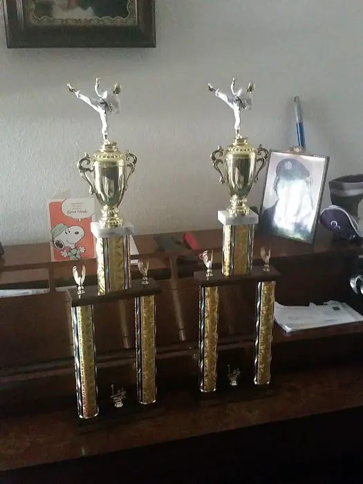 Little Tiger's Tang Soo DO Picture 10