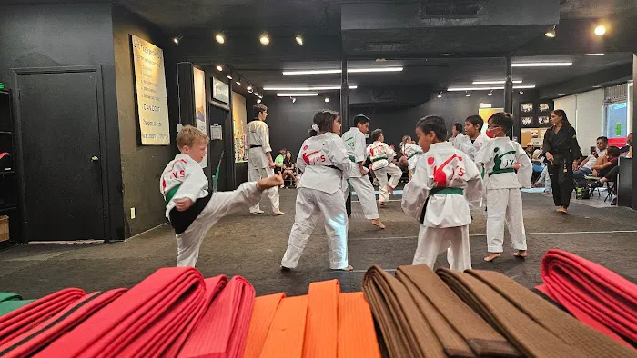 JYS TAEKWONDO Redlands Picture 7