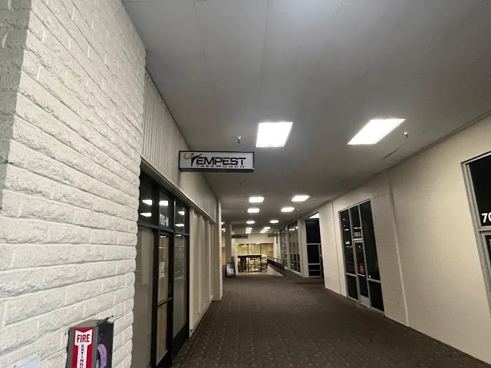 Tempest Taekwondo - Redlands Picture 2