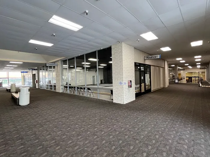 Tempest Taekwondo - Redlands Picture 6