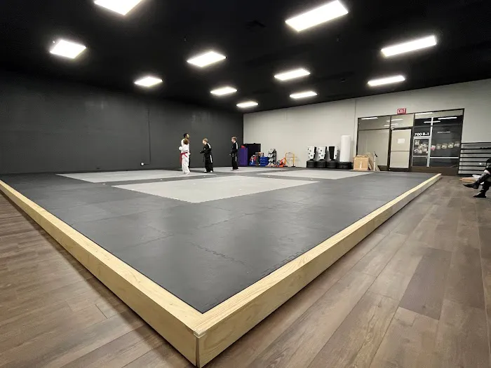 Tempest Taekwondo - Redlands Picture 9