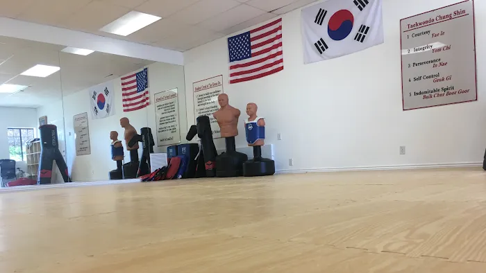 Victory Tae Kwon Do USA - Lake Arrowhead Picture 3