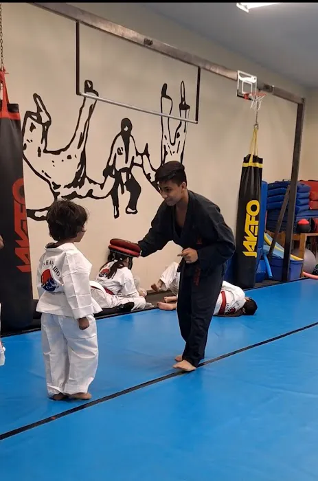 Kim's Hapkido Picture 2