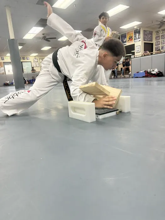World Black Belt Center Picture 5