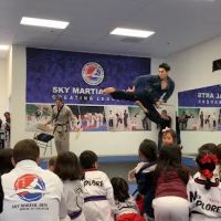 SKY Martial Arts - Wildomar ico