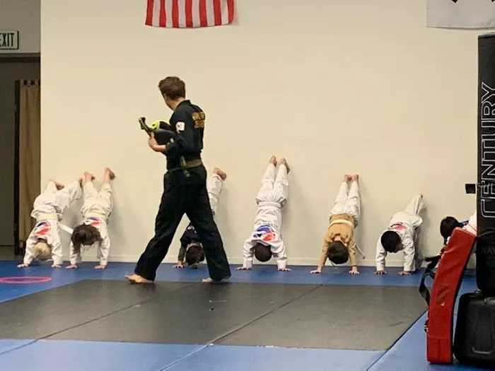 SKY Martial Arts - Wildomar Picture 3