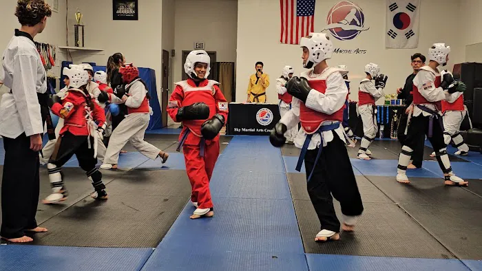 SKY Martial Arts - Wildomar Picture 2