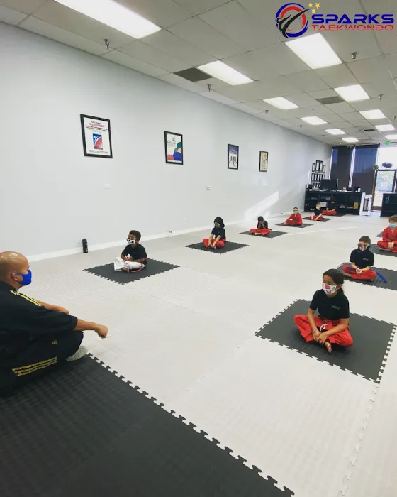Sparks Taekwondo Picture 10