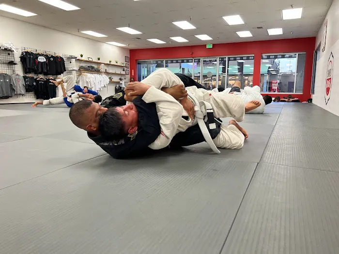 Shimeru Judo & Jiu Jitsu Club Picture 2