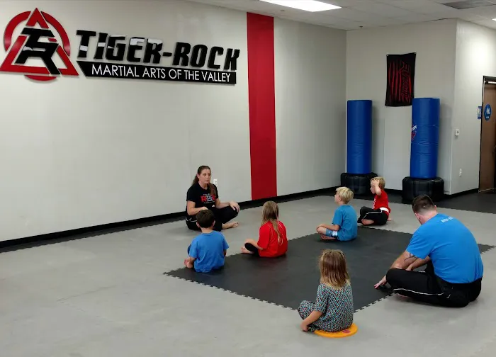 Tiger Rock Martial Arts of the Valley Picture 1
