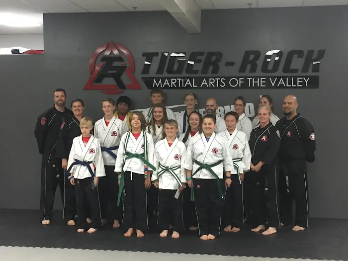 Tiger Rock Martial Arts of the Valley Picture 3