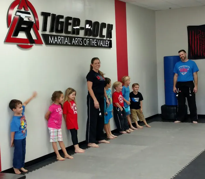 Tiger Rock Martial Arts of the Valley Picture 2