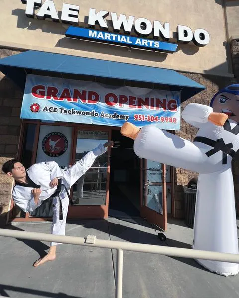 ACE Tae Kwon Do Academy Picture 5