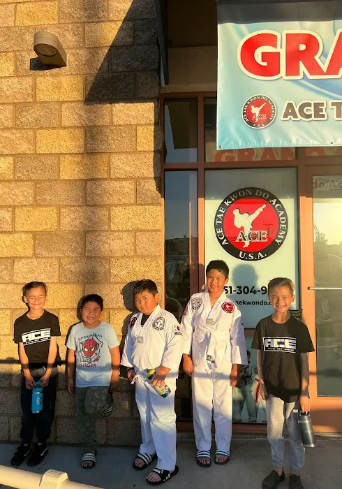 ACE Tae Kwon Do Academy Picture 3