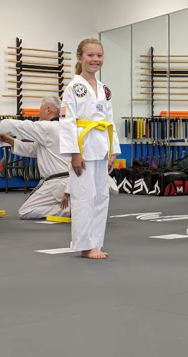 ACE Tae Kwon Do Academy Picture 6