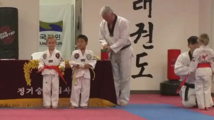 ACE Tae Kwon Do Academy Picture 10