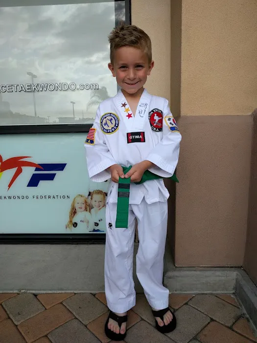 ACE Tae Kwon Do Academy Picture 9