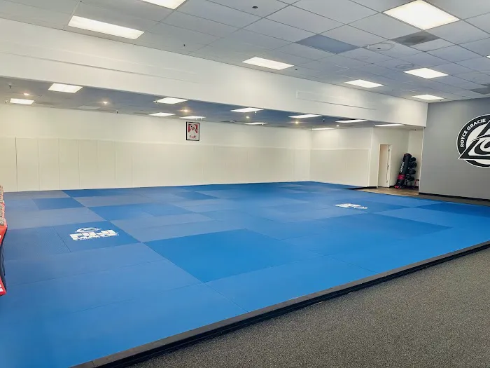 Royce Gracie Academy OC Picture 5