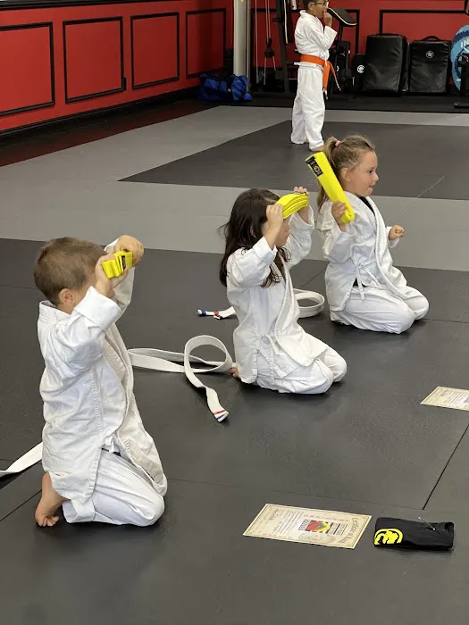 United Studios of Self Defense (USSD) Dana Point Karate Picture 2