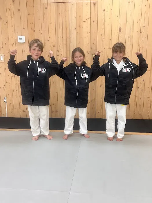 USSD Martial Arts San Clemente Picture 4