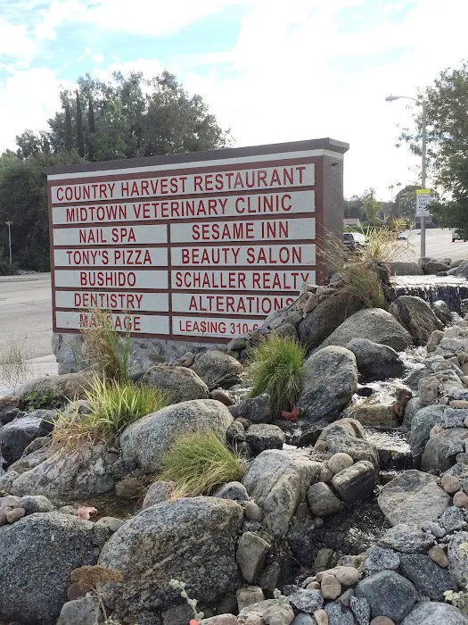 Bushido Martial Arts Picture 3