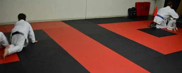 Bushido Martial Arts Picture 4