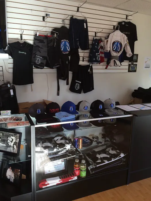 Bushido Martial Arts Picture 5