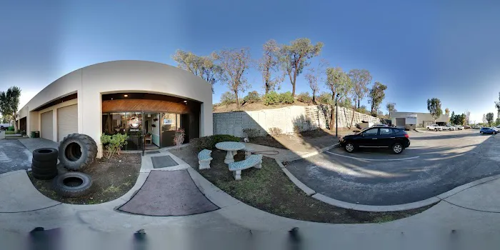 Bushido Martial Arts Picture 7