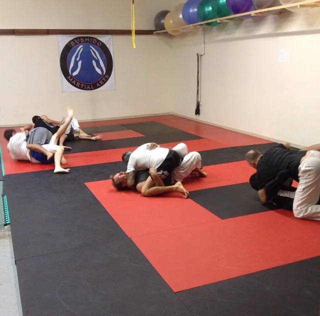 Bushido Martial Arts Picture 9