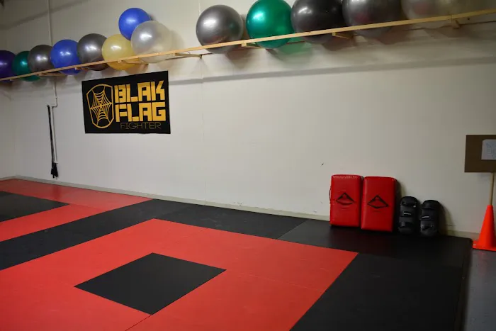 Bushido Martial Arts Picture 8