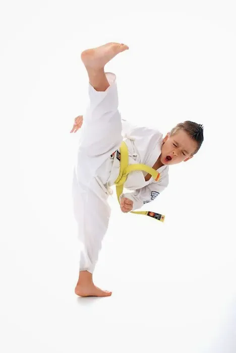 Bryan Hawkins Kenpo Karate Camarillo Picture 4