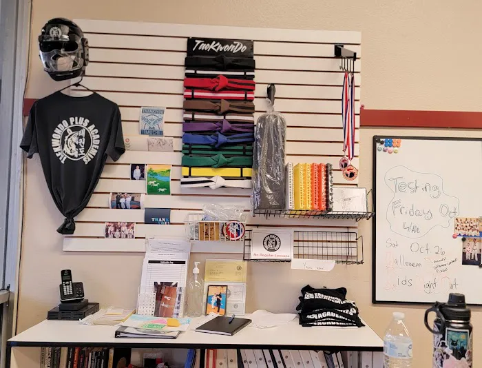 TaeKwonDo Plus Of Camarillo Picture 4