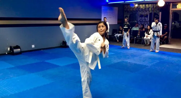 Golden Tigers Taekwondo Picture 1